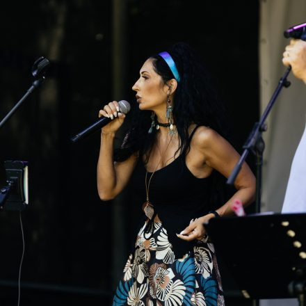 Donauinselfest 2025 - Sonntag