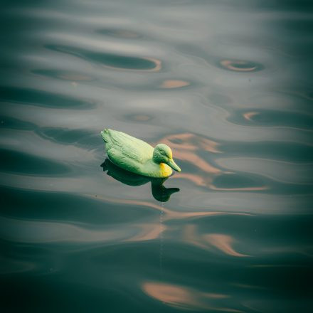 Techno am Wasser #2