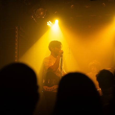 Camel Power Club
