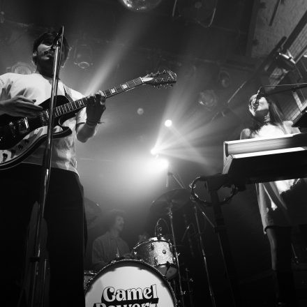 Camel Power Club