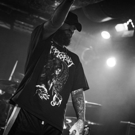 HEAVY//HITTER