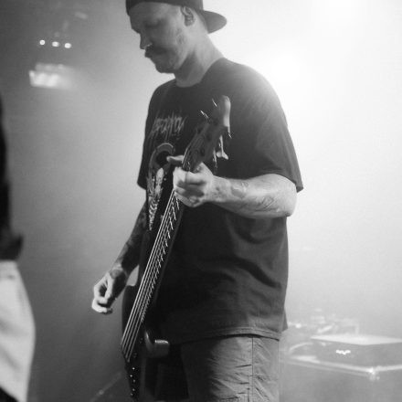HEAVY//HITTER