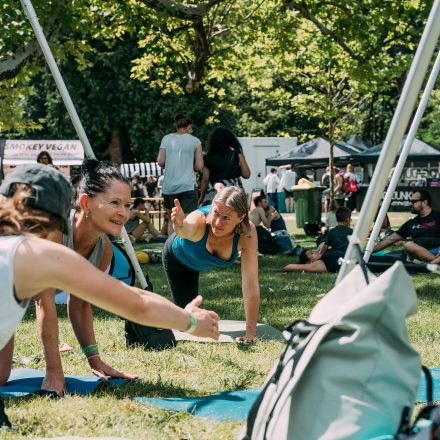 Yoga Junkies Festival 2025