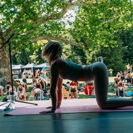 Yoga Junkies Festival 2025