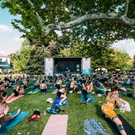 Yoga Junkies Festival 2025