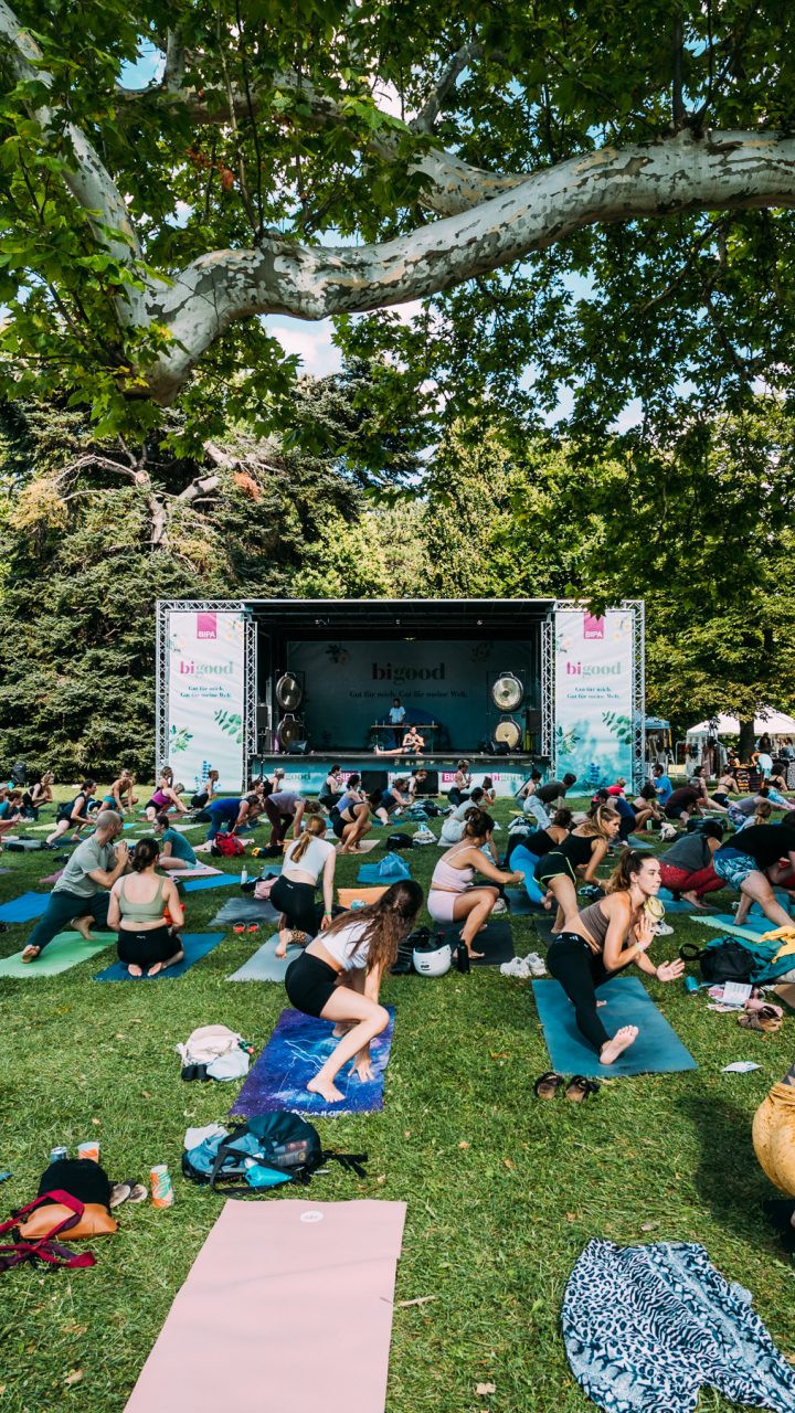 Yoga Junkies Festival 2025