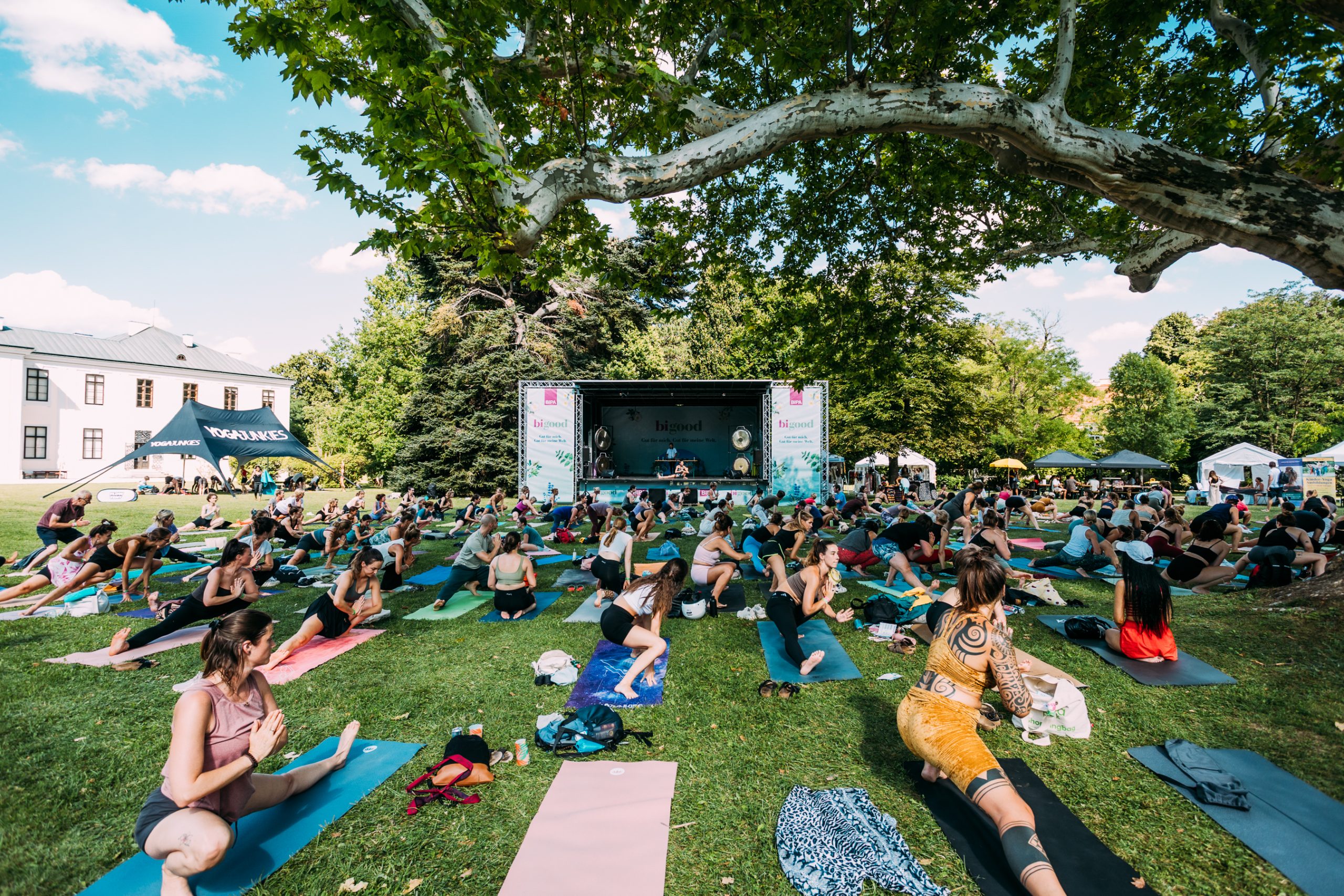 Yoga Junkies Festival 2025