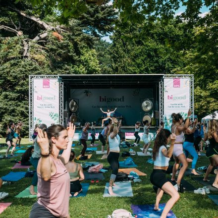 Yoga Junkies Festival 2025