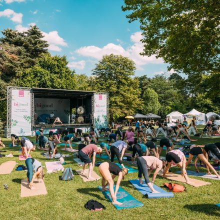 Yoga Junkies Festival 2025