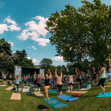 Yoga Junkies Festival 2025