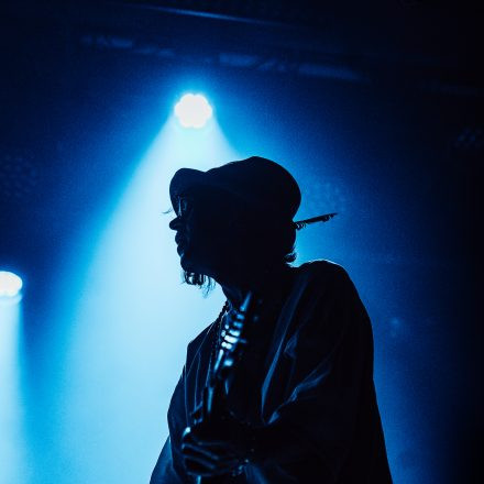 The Dandy Warhols