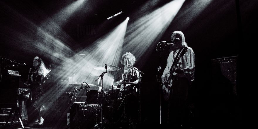 The Dandy Warhols