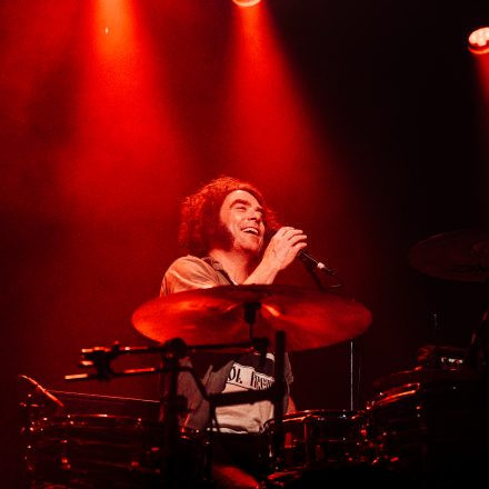 The Dandy Warhols