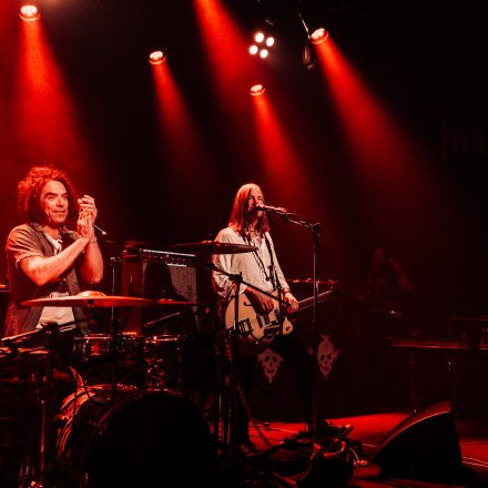 The Dandy Warhols