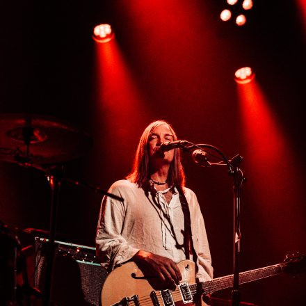 The Dandy Warhols
