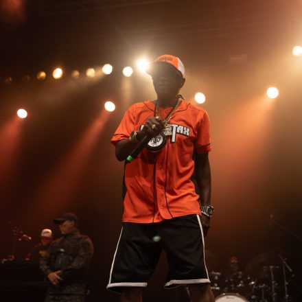 Public Enemy