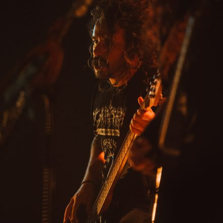 Soulfly