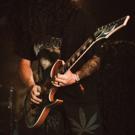 Soulfly
