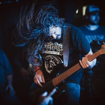 Soulfly