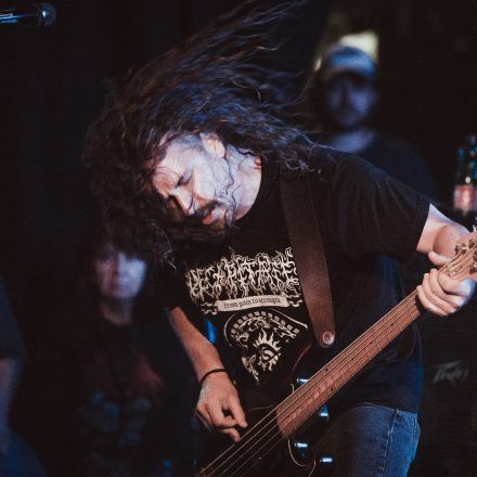 Soulfly