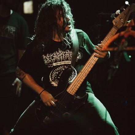Soulfly