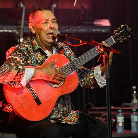 Gipsy Kings by Diego Baliardo