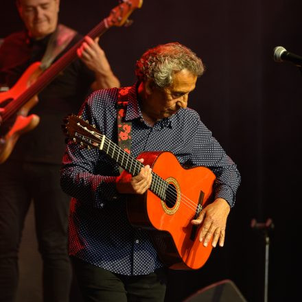 Gipsy Kings by Diego Baliardo