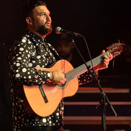 Gipsy Kings by Diego Baliardo