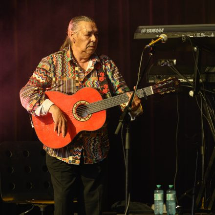 Gipsy Kings by Diego Baliardo