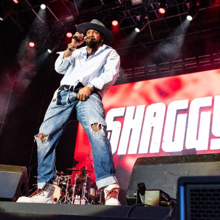 Shaggy