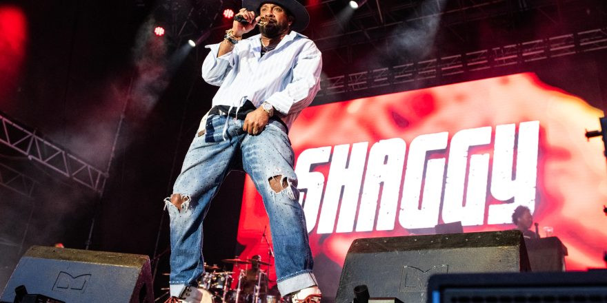 Shaggy