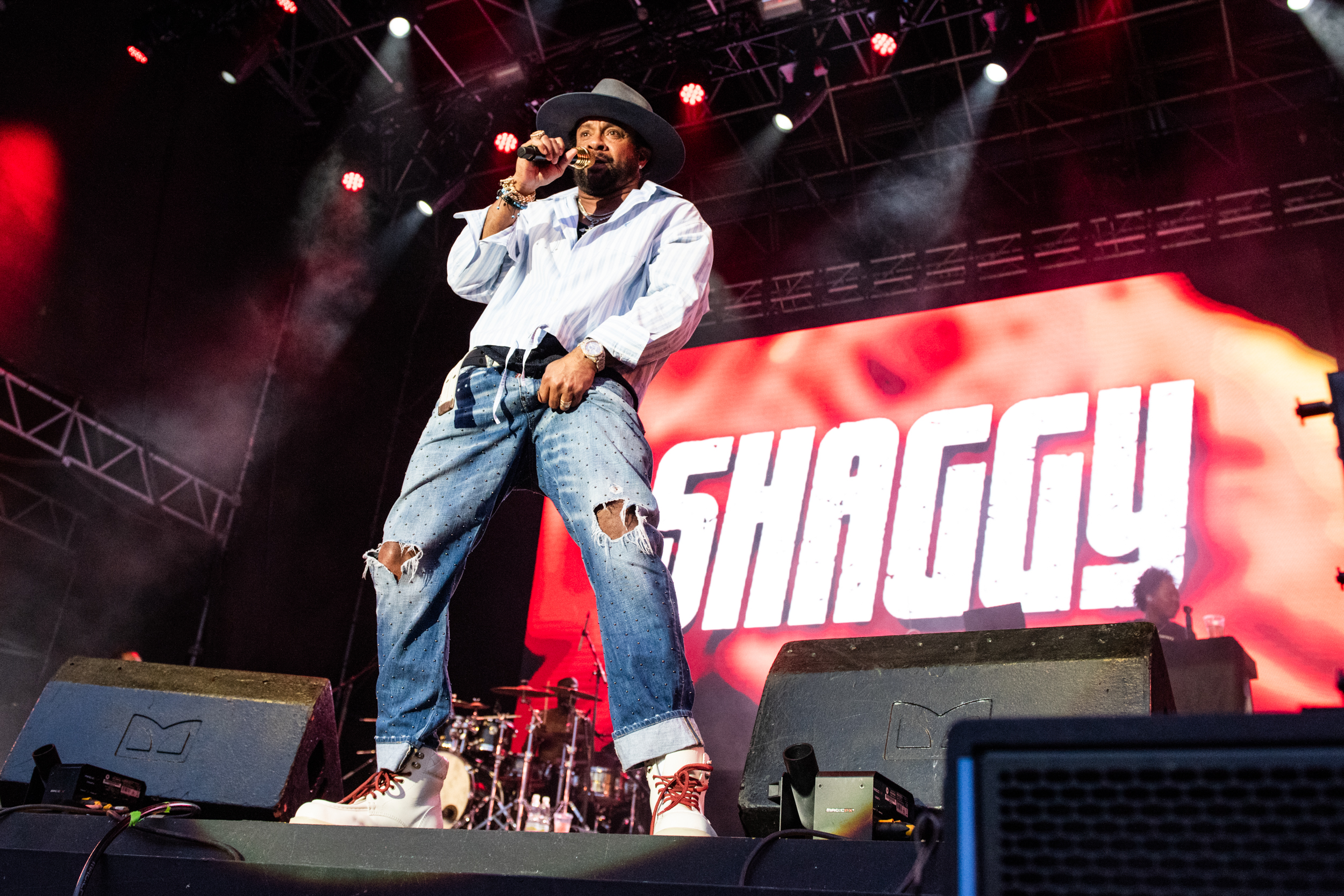 Shaggy
