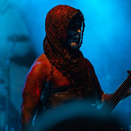 United Colors Festival