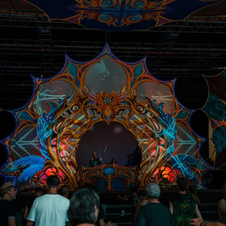 FLOW Experience 2025