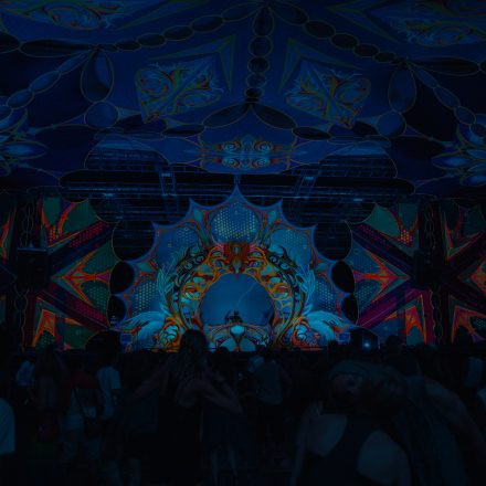 FLOW Experience 2025