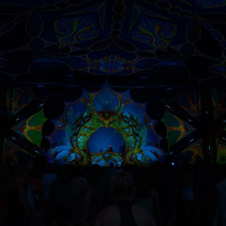 FLOW Experience 2025