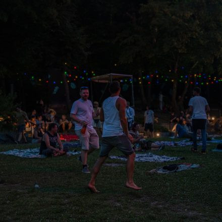 FLOW Experience 2025