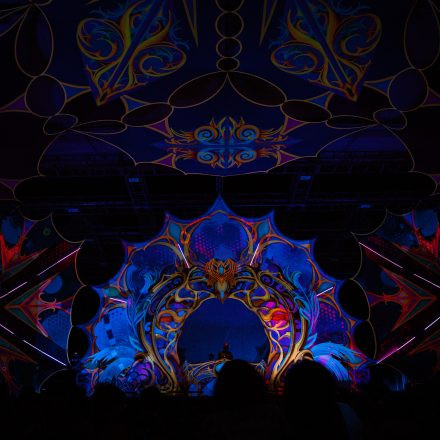 FLOW Experience 2025