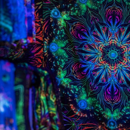 FLOW Experience 2025