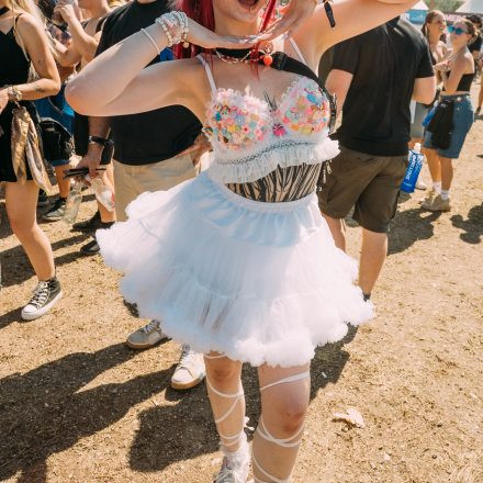 Shutdown Festival 2025 - Part 1