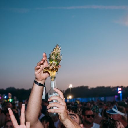 Shutdown Festival 2025 - Part 2