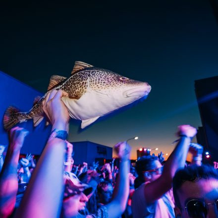 Shutdown Festival 2025 - Part 2