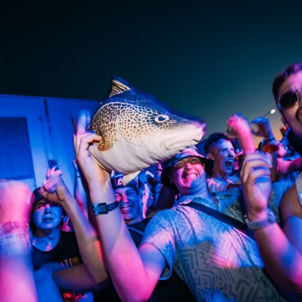 Shutdown Festival 2025 - Part 2