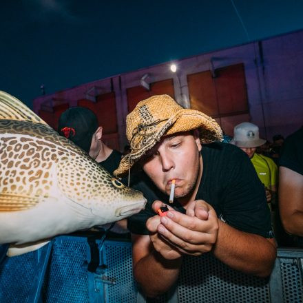 Shutdown Festival 2025 - Part 2