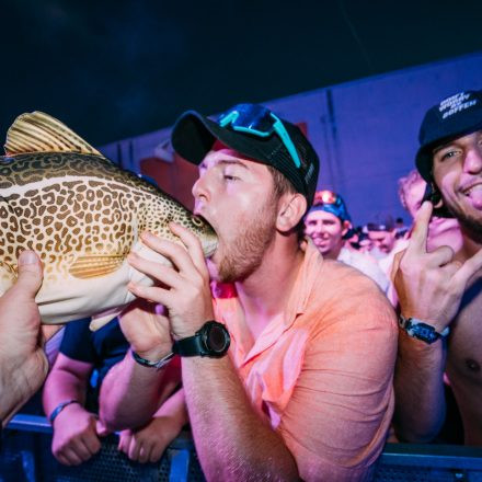 Shutdown Festival 2025 - Part 2