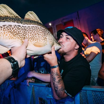Shutdown Festival 2025 - Part 2