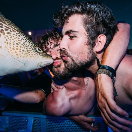 Shutdown Festival 2025 - Part 2