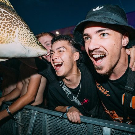 Shutdown Festival 2025 - Part 2