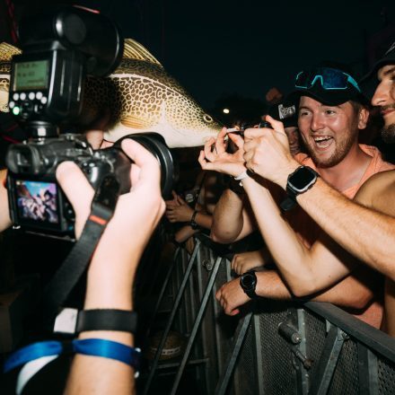 Shutdown Festival 2025 - Part 2