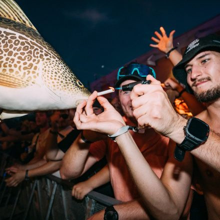 Shutdown Festival 2025 - Part 2